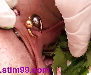 Best Porn