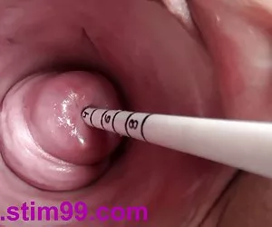 Best Porn