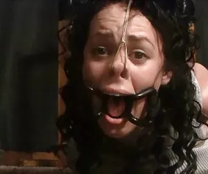 Best Porn