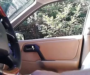 Best Porn